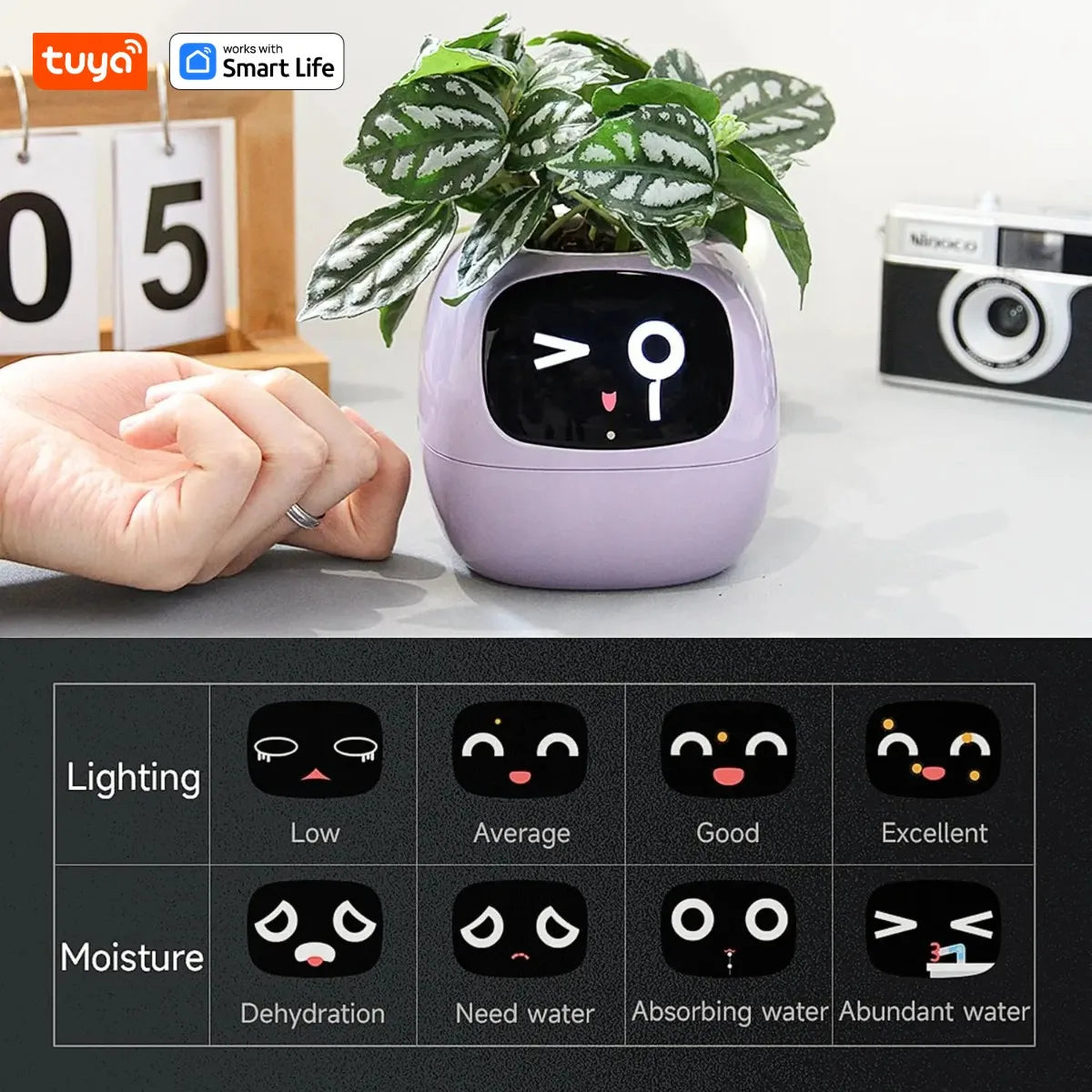 Ivy Smart Planter – The Ultimate AI-Powered Plant Care Gift!