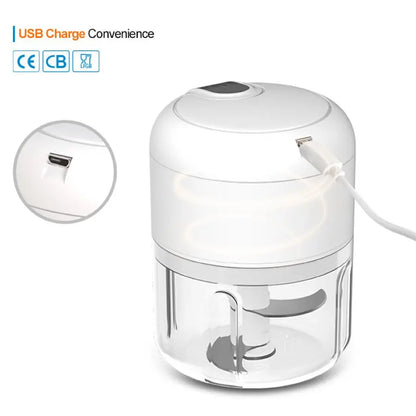 250ml Rechargeable Mini Food Processor - Portable Electric Garlic & Vegetable Chopper for Kitchen Use